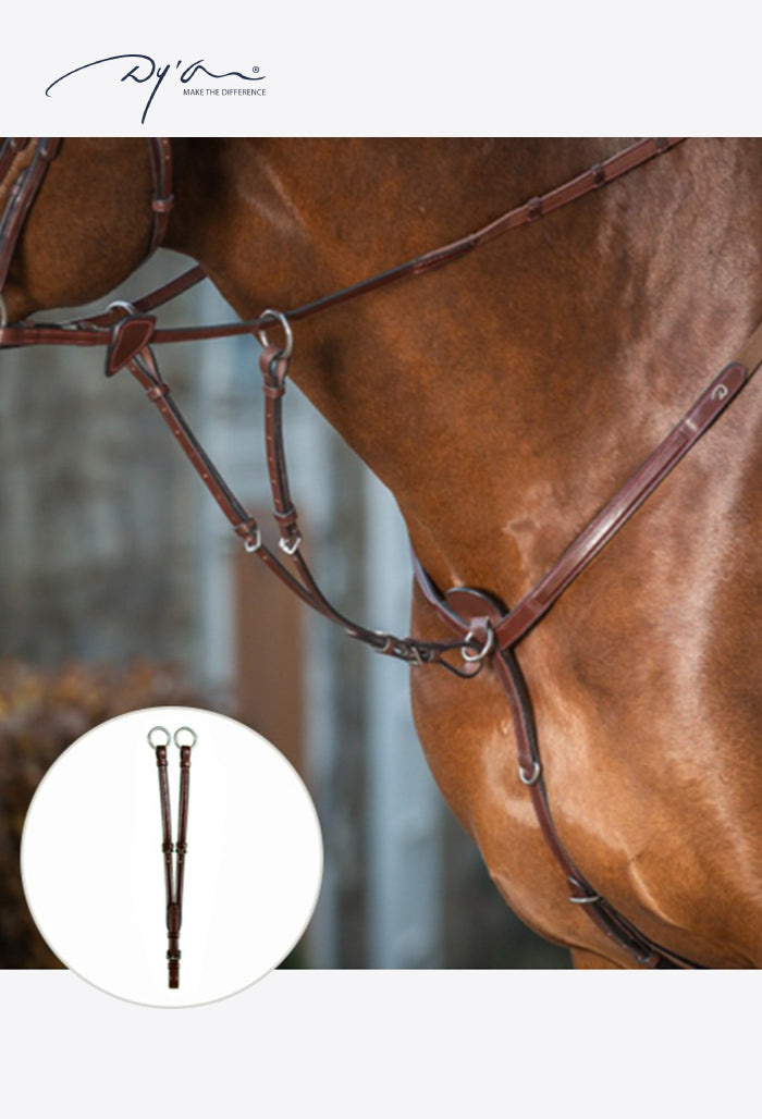 Dy'on - Ring Martingale