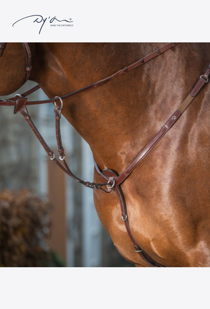 Dy'on - Ring Martingale