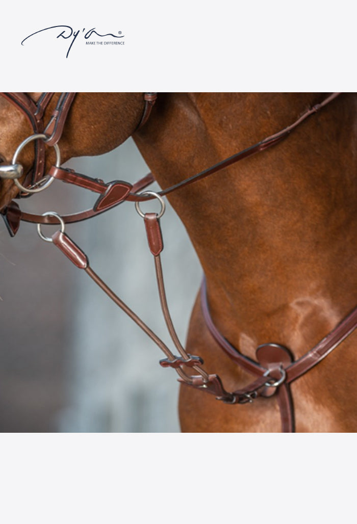 Dy'on - Elastic Running Martingale Attachment