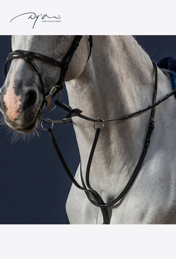 Dy'on - Martingal mit Gleitring