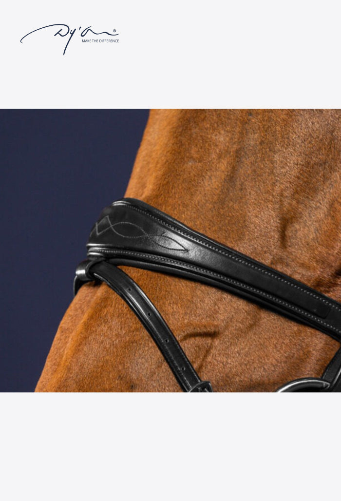 Dy'on - Zaumzeug Anatomic mit kombiniertem Reithalfter