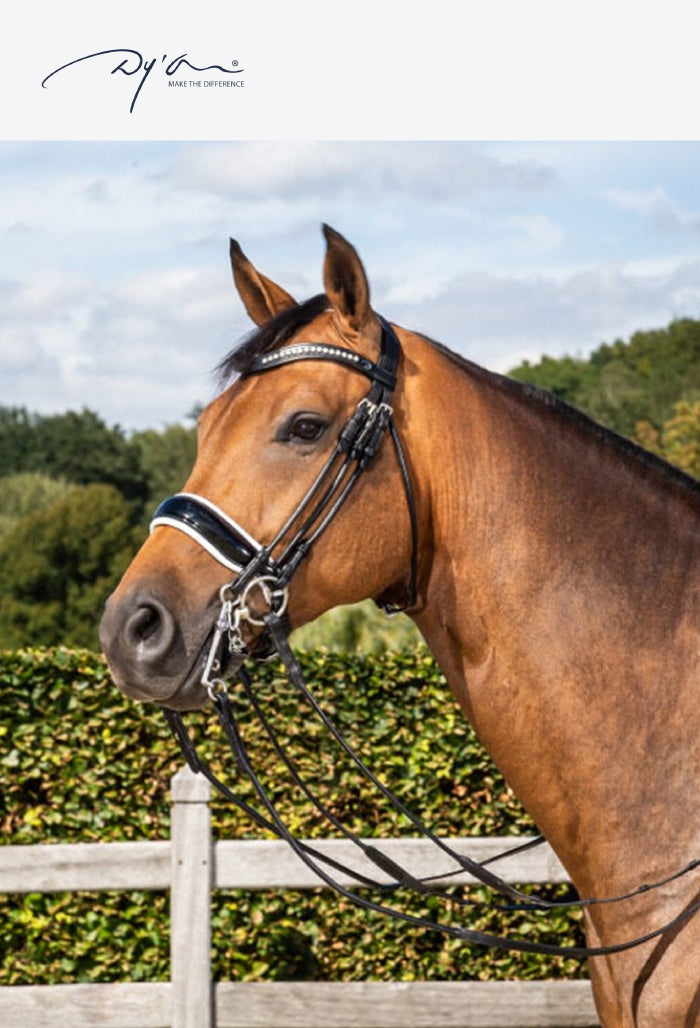 Dy'on - Patent Large Crank Noseband with White Padding Double Bridle