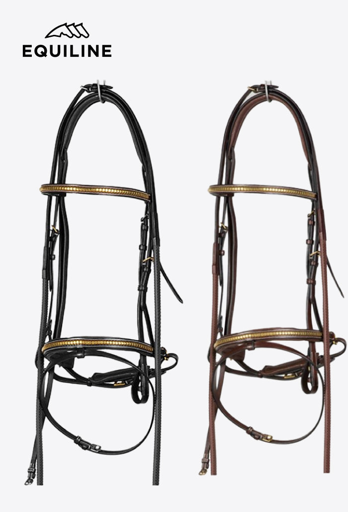 Equiline - Leather Bridle with Golden Details BJ 116