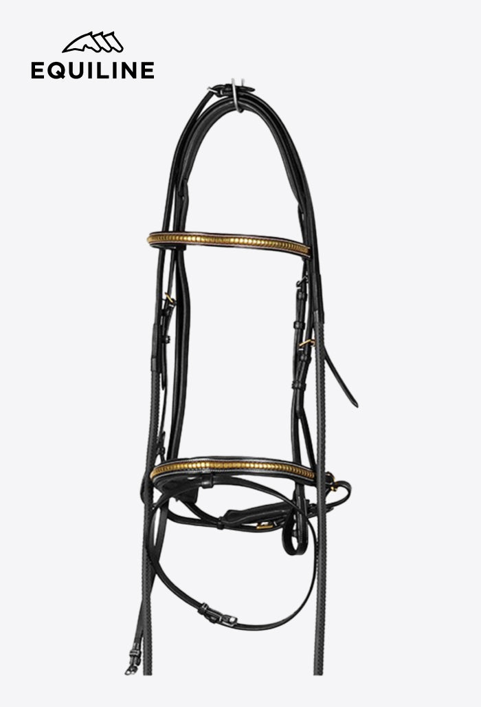Equiline - Leather Bridle with Golden Details BJ 116