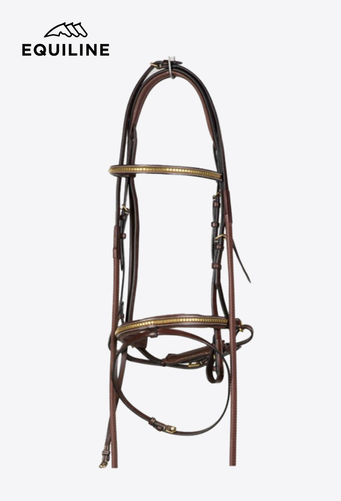Equiline - Leather Bridle with Golden Details BJ 116