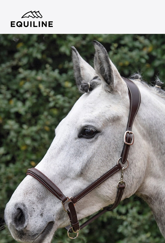 Equiline - Sicherheitslederhalfter