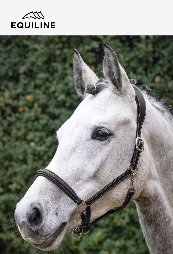 Equiline - Sicherheitslederhalfter