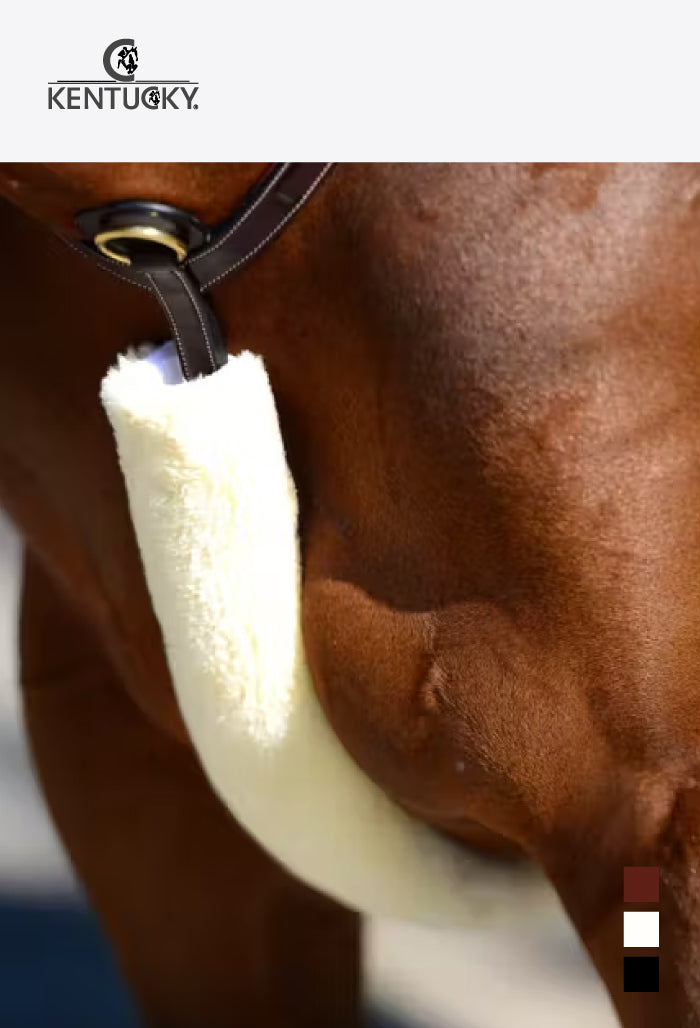 Kentucky - Sheepskin Breastplate & Rein cover