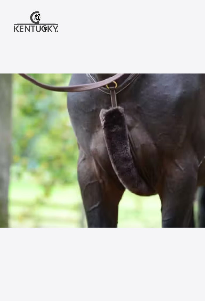 Kentucky - Sheepskin Breastplate & Rein cover