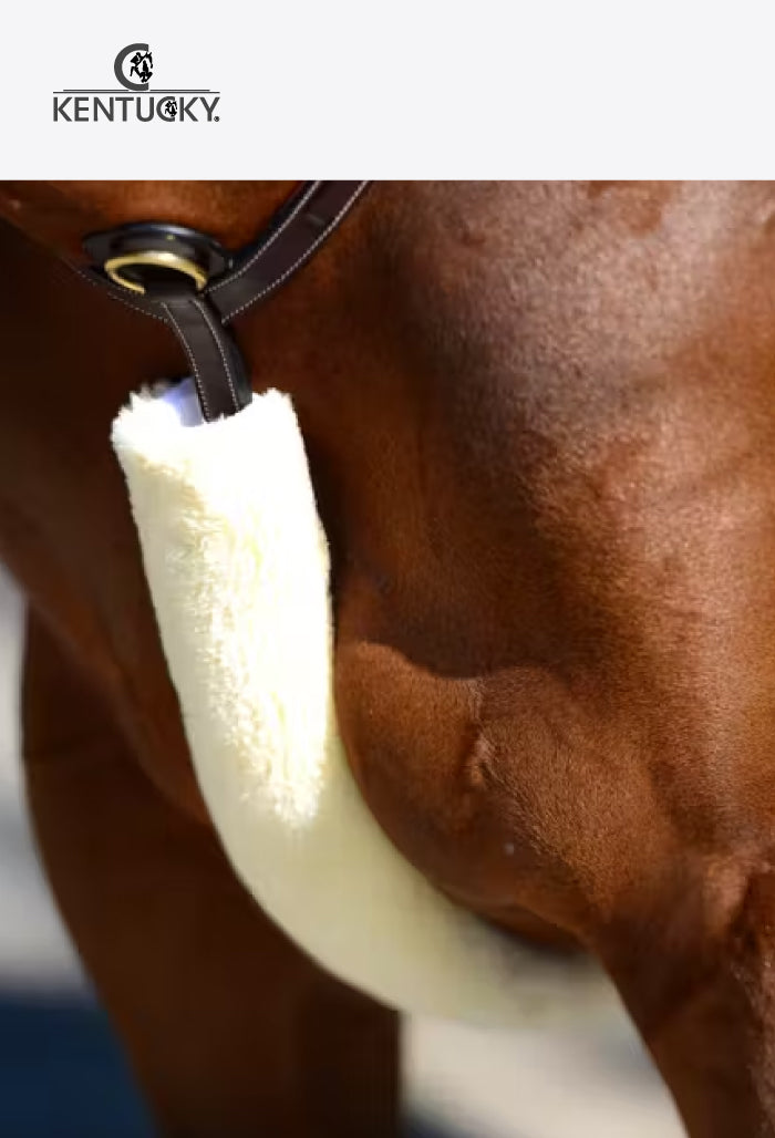 Kentucky - Sheepskin Breastplate & Rein cover