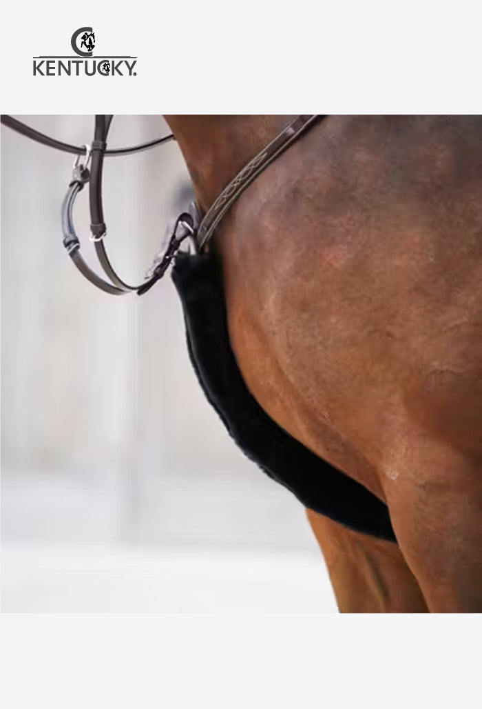 Kentucky - Sheepskin Breastplate & Rein cover