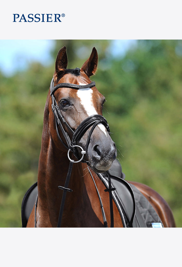 Passier - Apollo Snaffle Bridle