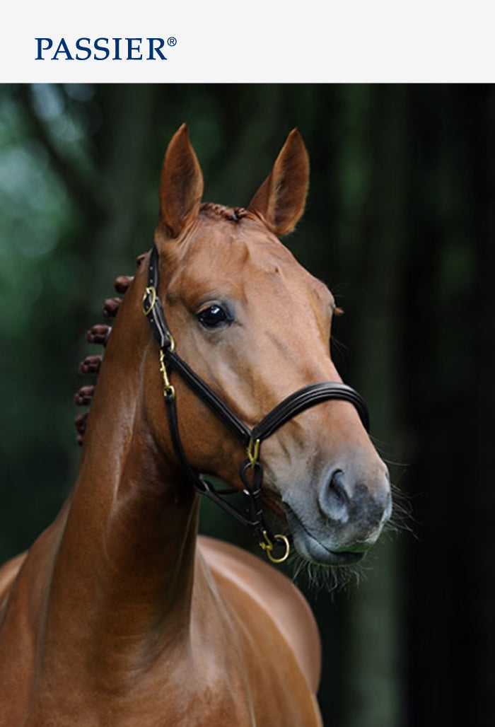 Passier - Leather Stable Halter