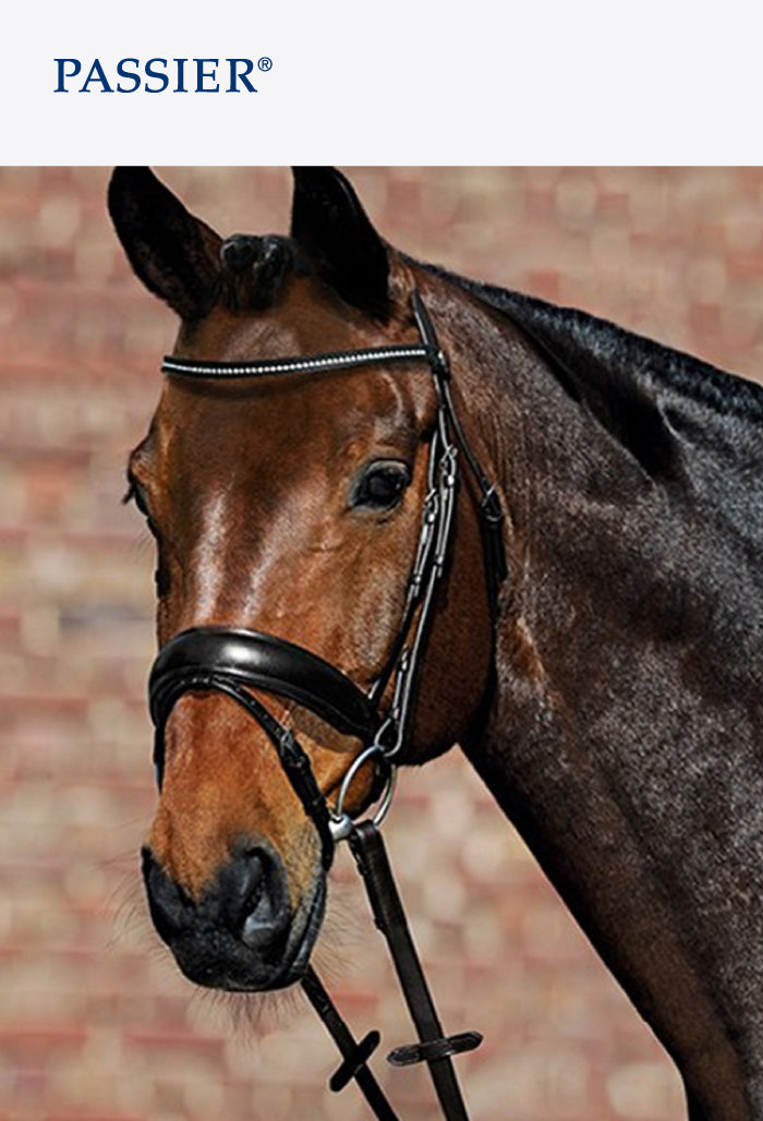 Passier - Gemini Snaffle Bridle