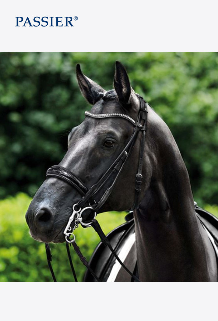 Passier - Double Bridle Icarus