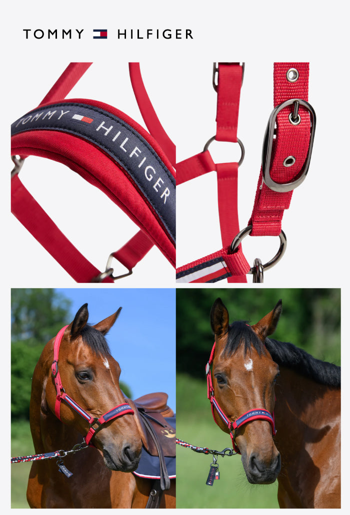 Tommy Hilfiger - Halfter Lincoln