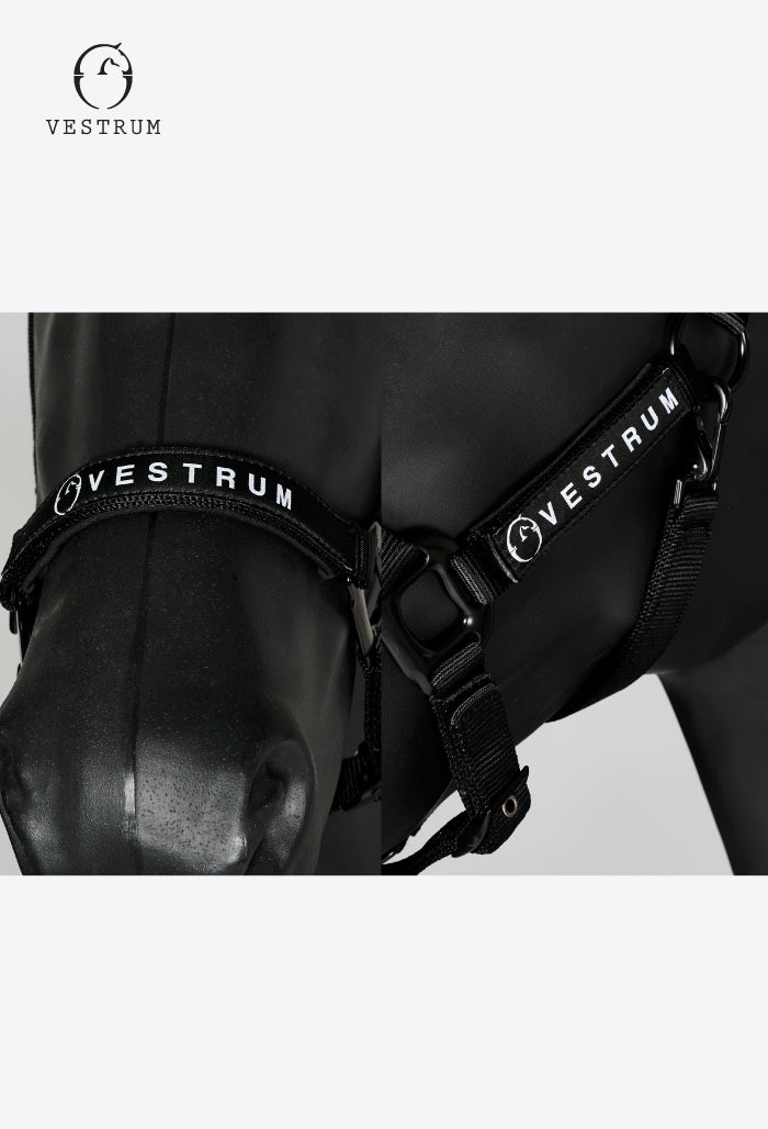 Vestrum - Halter & Rope Set Locri