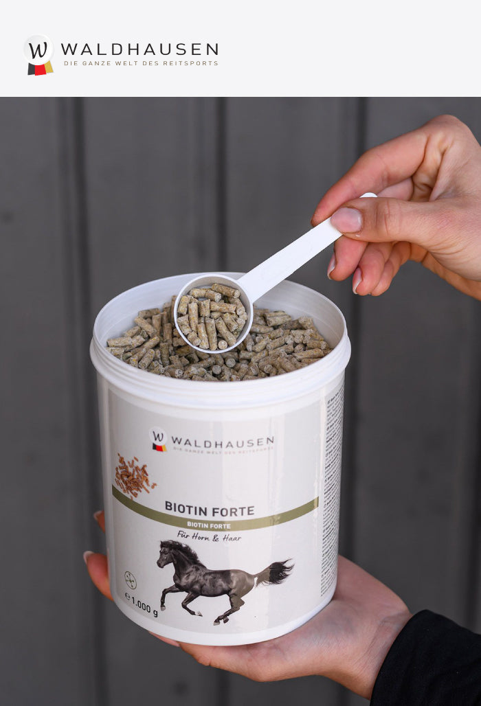Waldhausen – Biotin – Complementary Feed for Horses, 1 kg